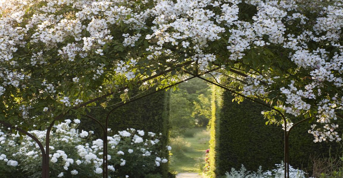 Visite Guidée des Jardins du Sud-Est de L'Angleterre