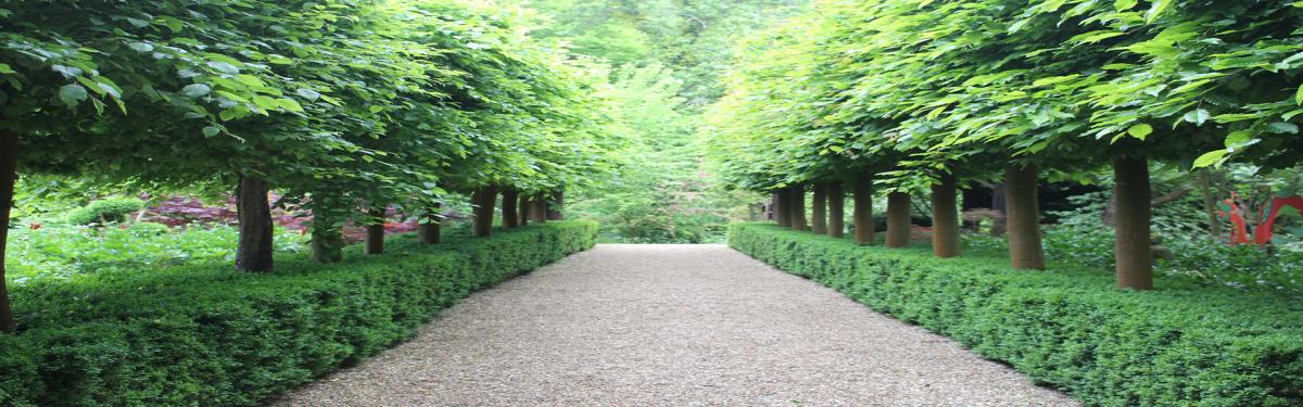 Balade Dans les Jardins du Hampshire