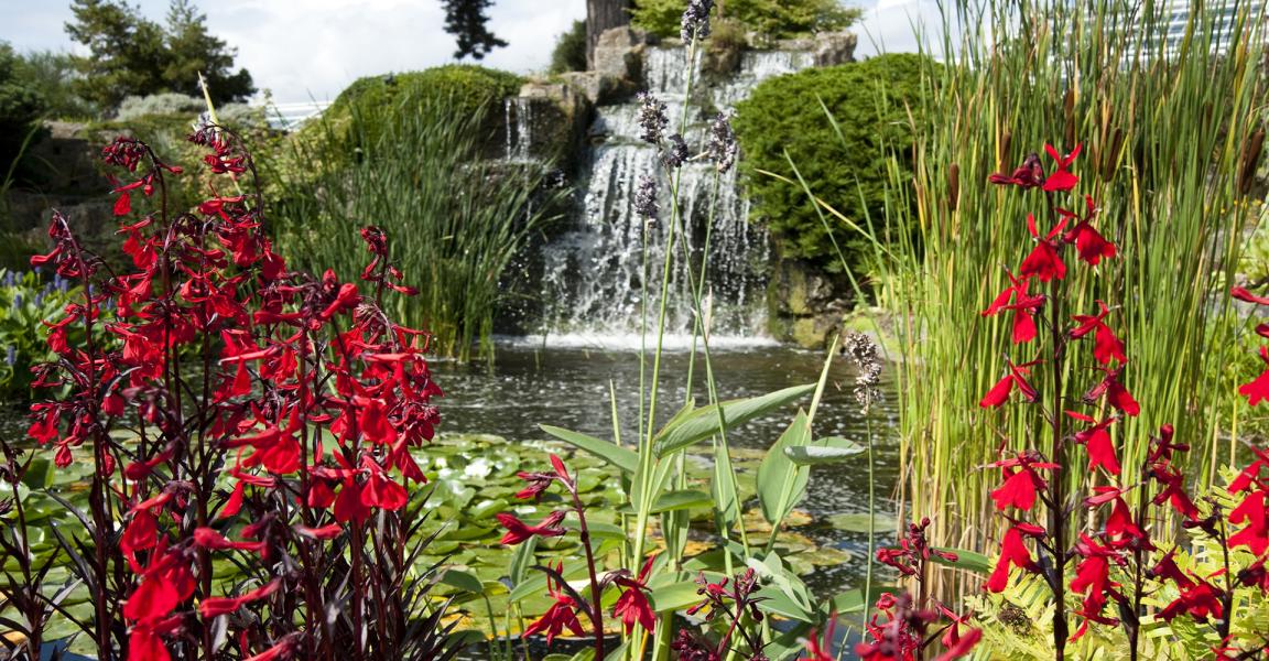 Jardins Botaniques Royaux de Kew et Wakehurst