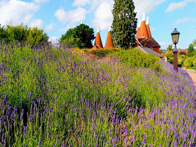 Circuits 5 Jours les Jardins et la Gastronomie du Sud-Est De L'Angleterre