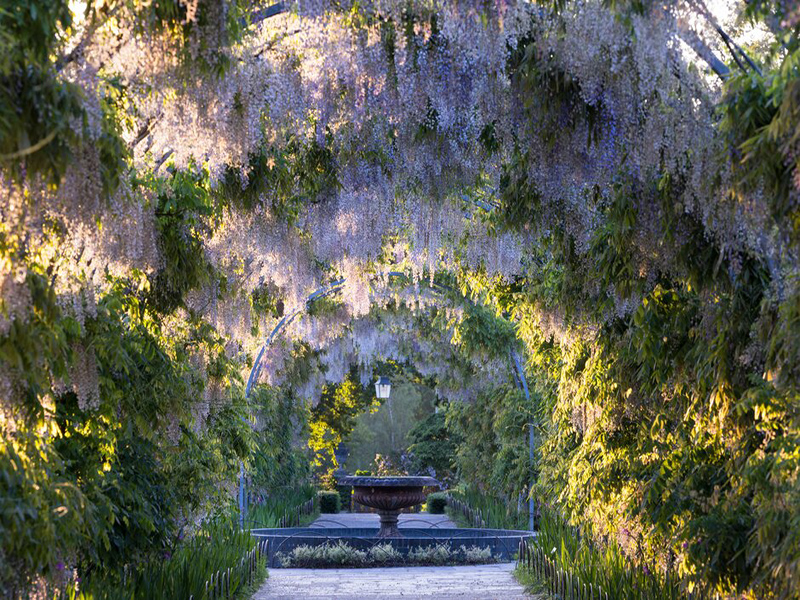 Balade Dans les Jardins du Hampshire