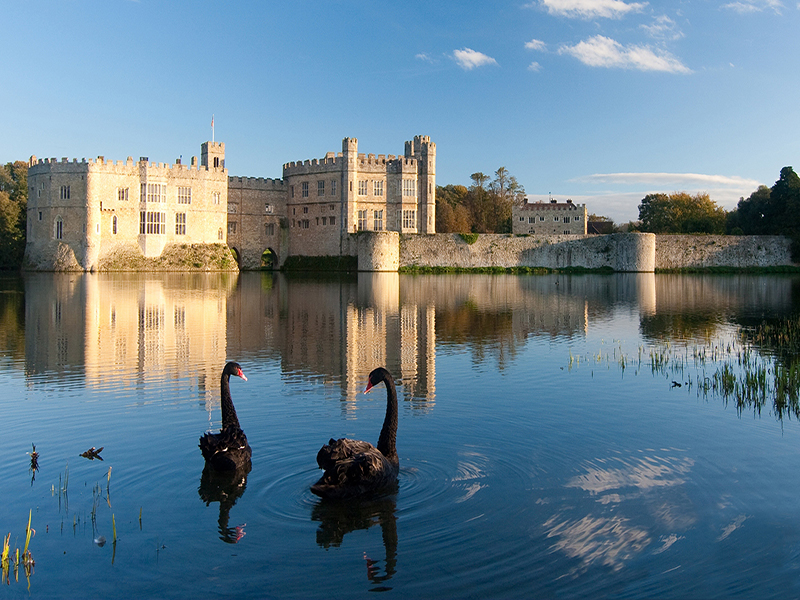 Visite Guidée de Châteaux et Jardins dans le Sud de L'Angleterre